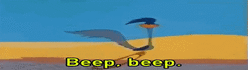 image.gif