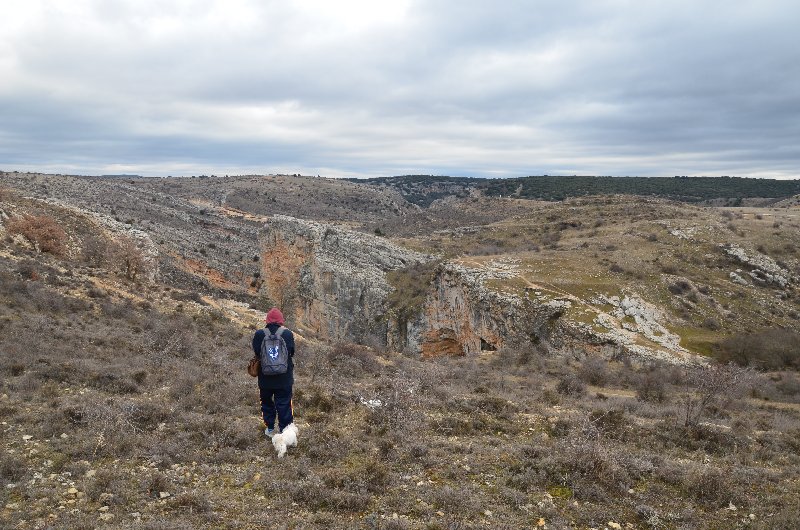 BARRANCO DEL RIO DULCE Y CASCADA DE GOLLORIO-2010/2019-GUADALAJARA - Paseando por España-1991/2016 (5)