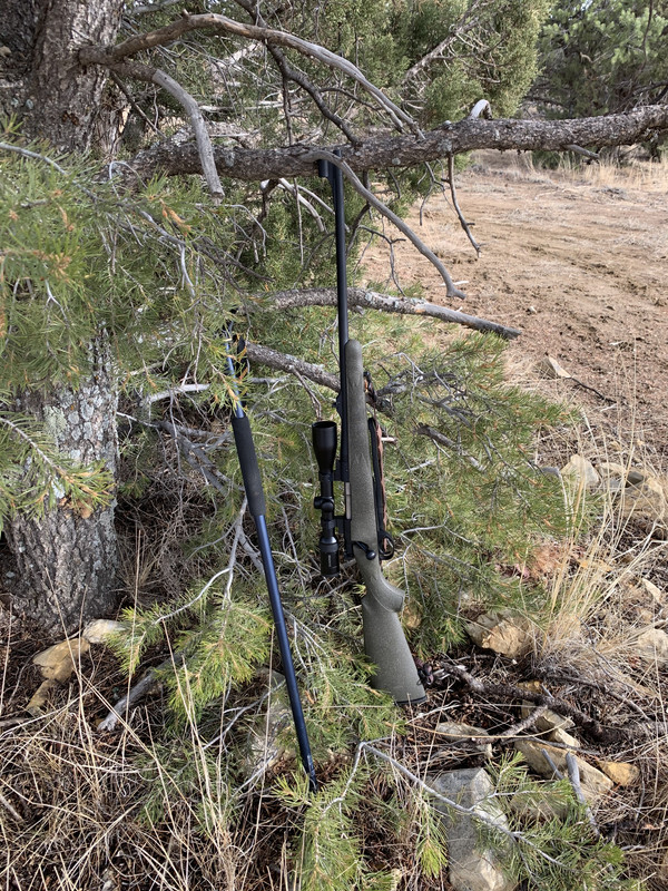 7976A933-F5DD-4AFE-BB44-188C83DA1232