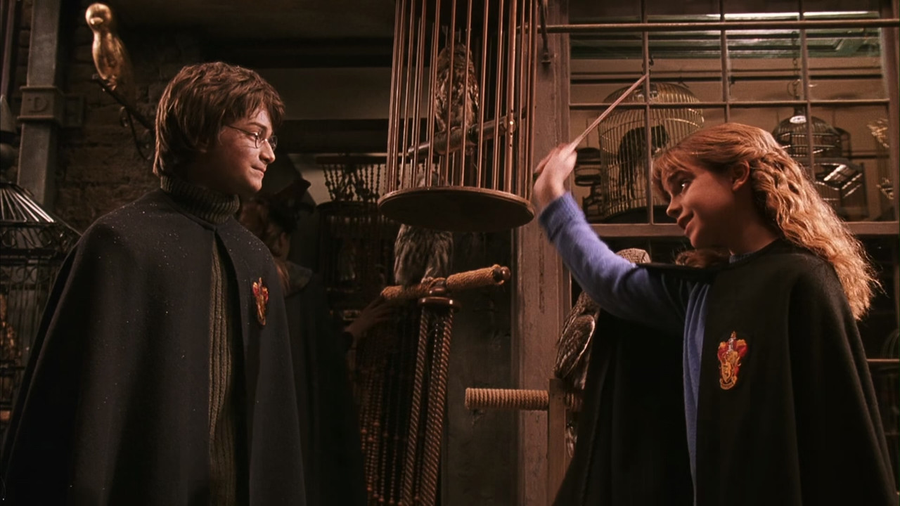 2.Harry.Potter.and.the.Chamber.of.Secrets.(2002).WEBRip.1080p.(AV1).(60fps).10bit.(Open Matte).mkv_2