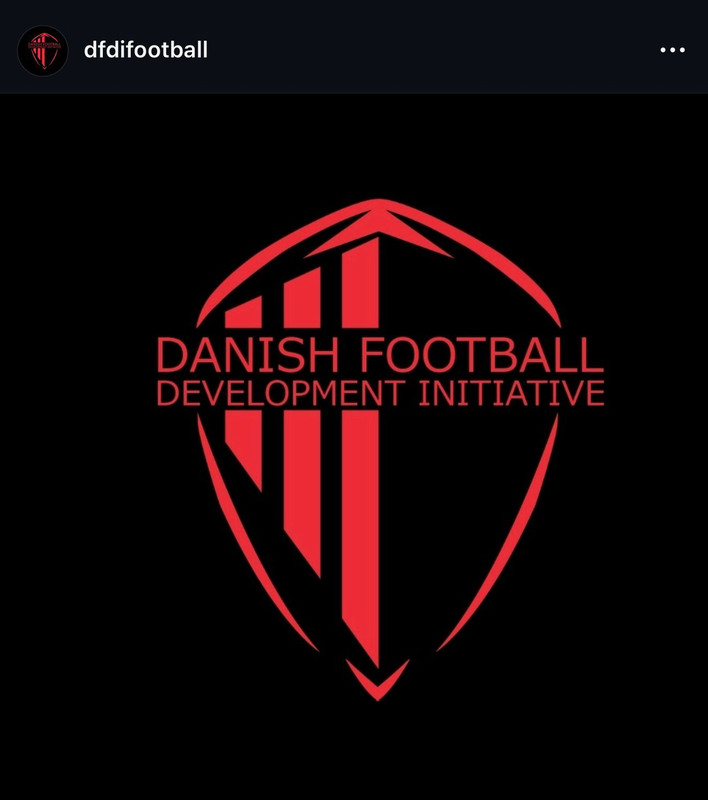 Partner Logo 1: DFDI Football