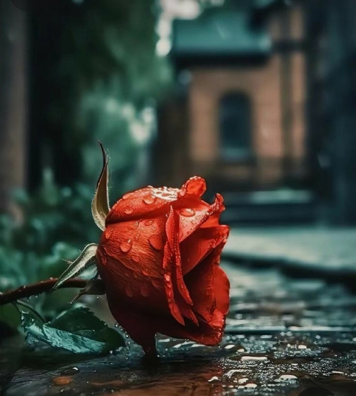 Screenshot_20231113_005723_Pinterest