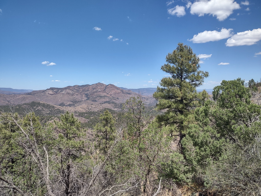 IMG_20250704_131832080_HDR