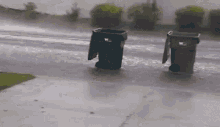 trash-can-camedc.gif