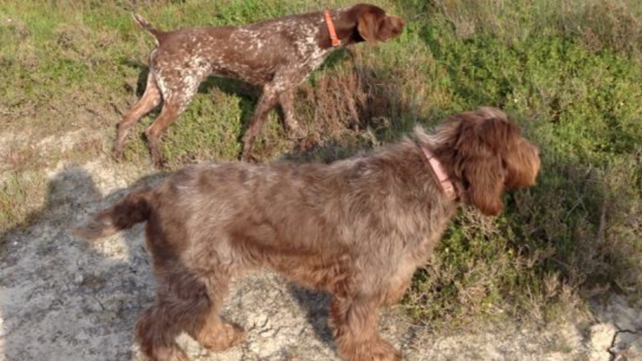 629DE837-0F80-4CD2-BDB0-A35B26F6578D