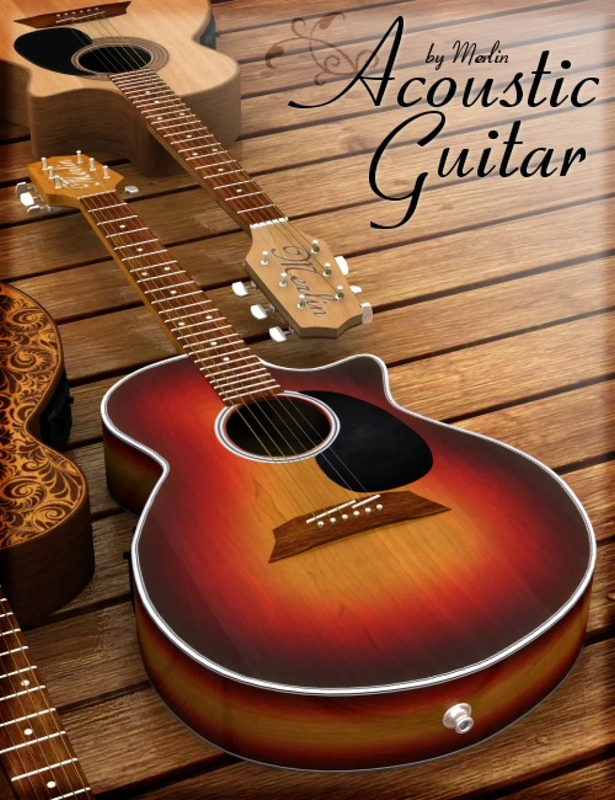 Acoustic Guitar by Merlin Acoustic Guitar by Merlin