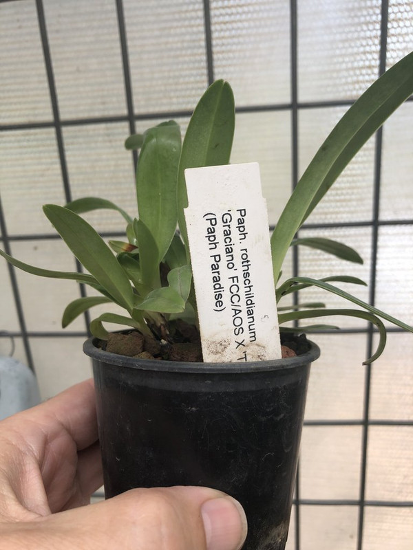 20201227_001301980_iOS