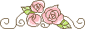pink 169