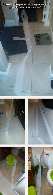 bring_me_the_tp_from_other_bathroom.jpg