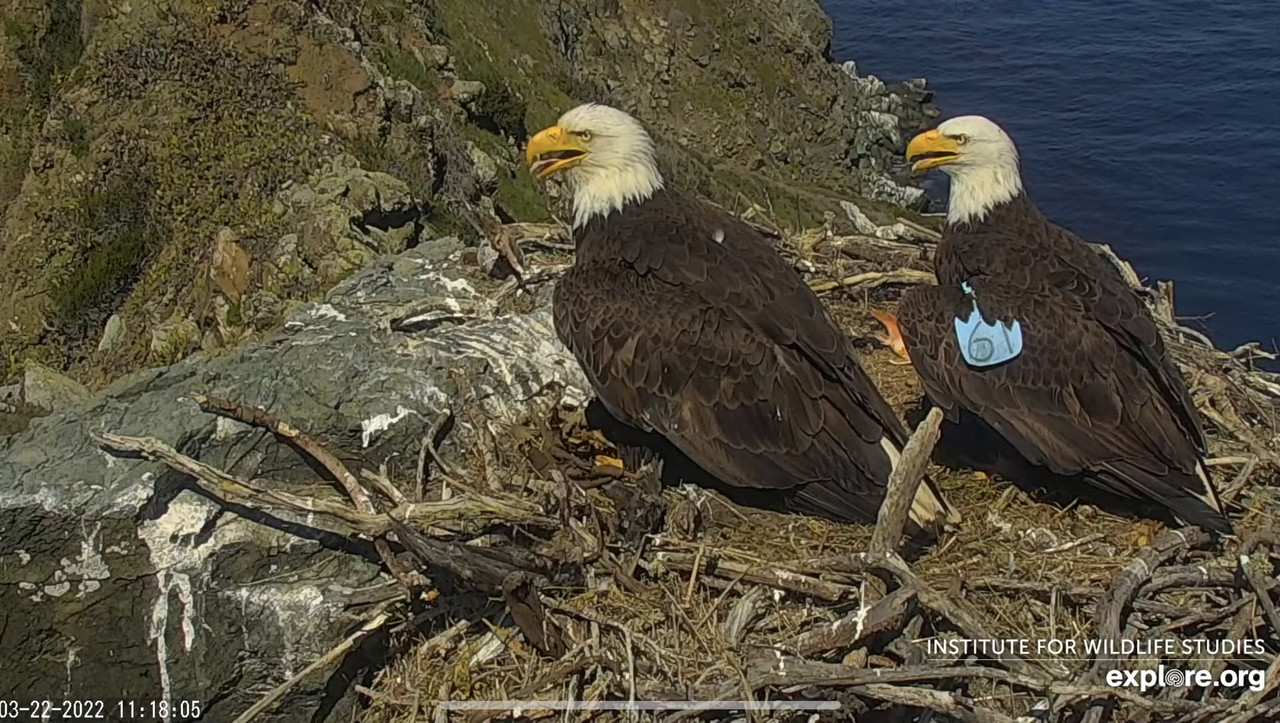 5AA3D112-A655-48B8-8F40-1C31B0B0FBAD