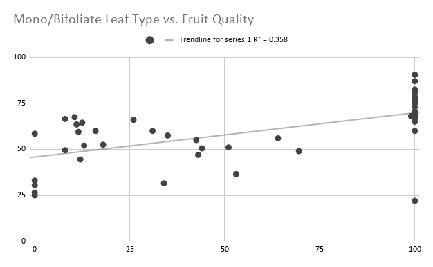 Mono Bifoliate Leaf Type vs Fruit Quality