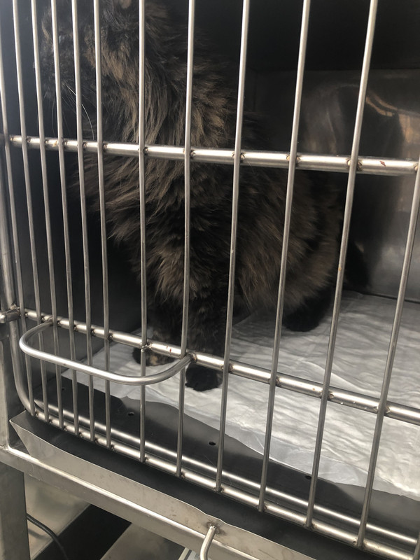 AC24059C-1ADD-4DE3-B7C5-1AD1DE6469A8