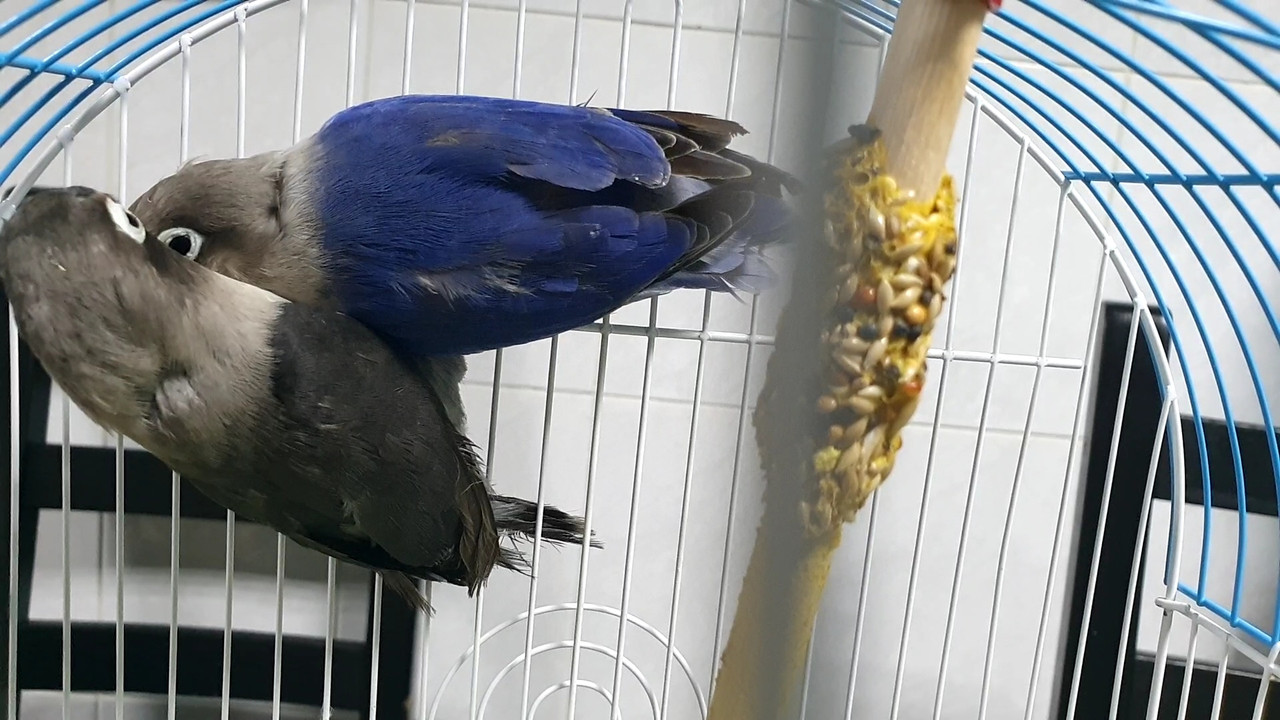 20201203_202100_capture(1)