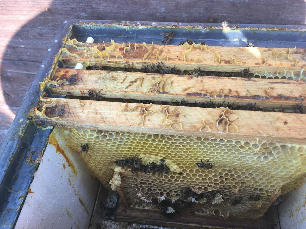 93BFE342-BE77-40ED-A899-8FC4257DE7F3