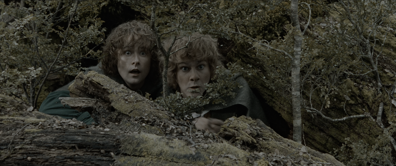 The.Lord.of.the.Rings.The.Fellowship.of.the.Ring.2001.EXTENDED.ITA.ENG.2160p.UHD.BluRay.x265-MeM.mkv