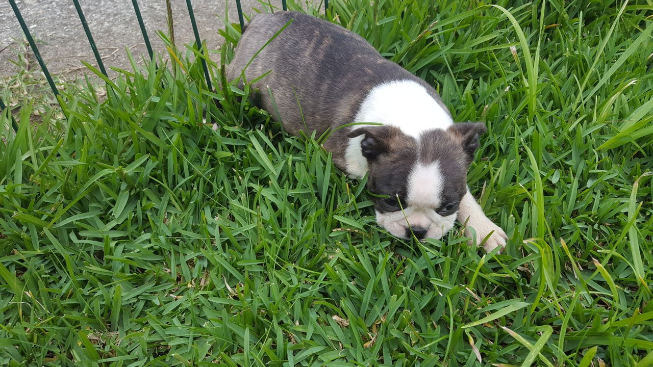 1CDAA520-9BEC-43EE-89FF-D71B926A44BD