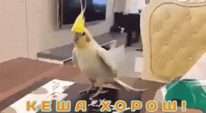 GIF-20250918-132819-299.gif
