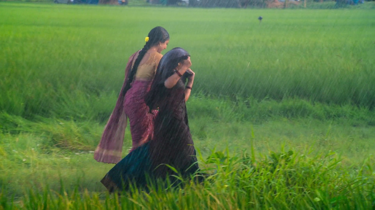 vlcsnap-2025-06-09-08h34m59s908