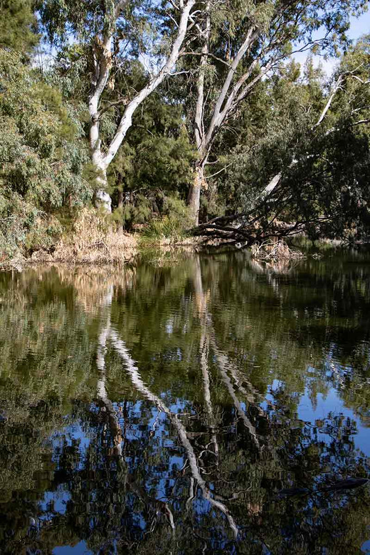 Reflections