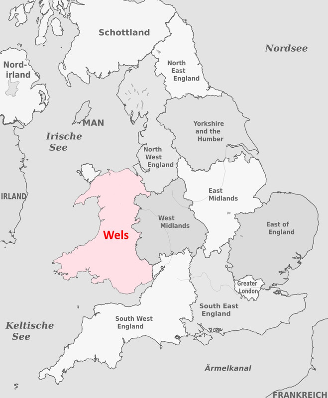 wels.jpg