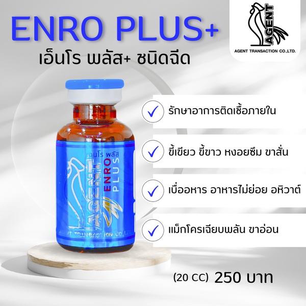 ENRO PLUS+