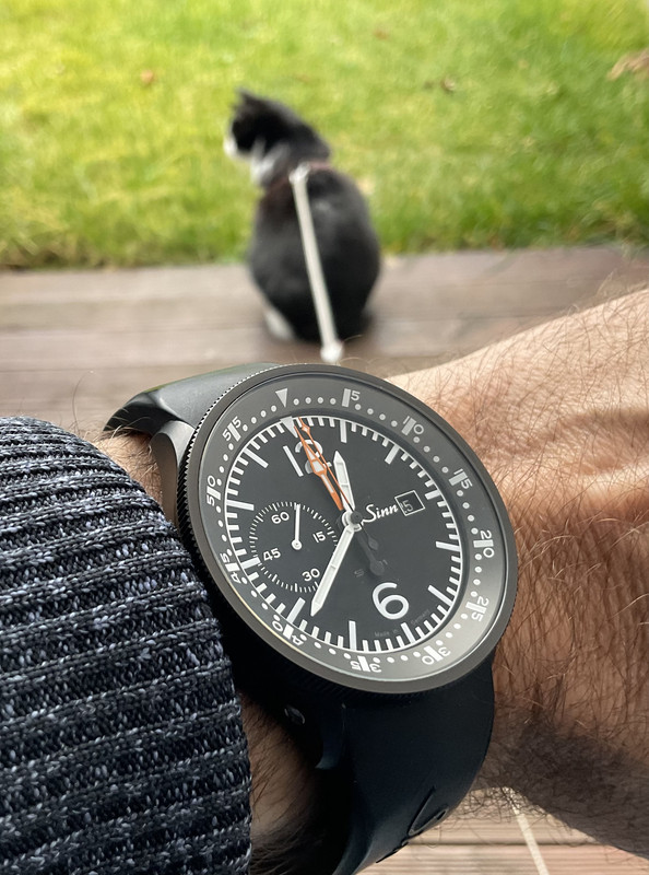 358761E3-5086-4C56-A5C9-B4F103A82E36