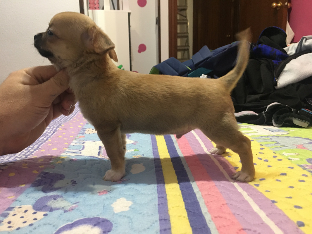 D2DEAA11-91C4-4FBB-A40E-F6DB5ECC6A32