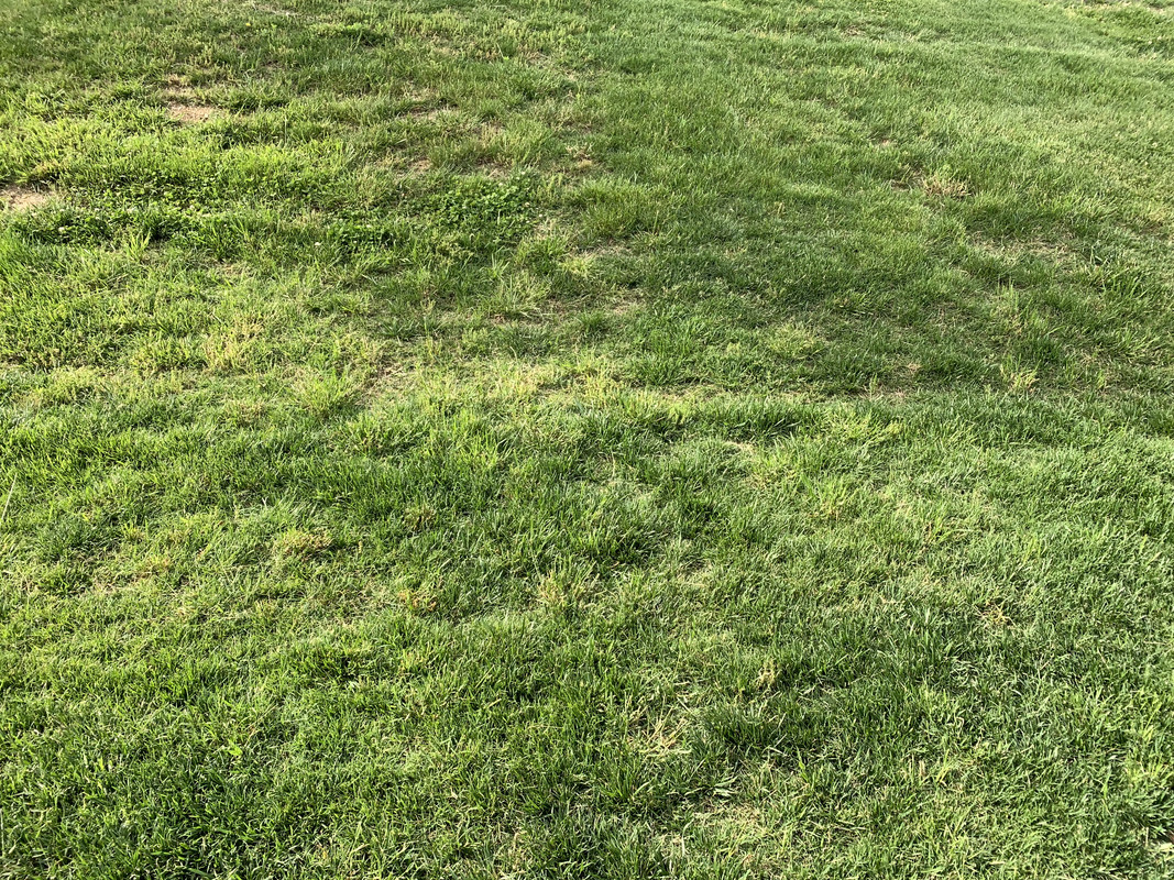 3DA45D4D-17EF-4293-8D64-F45B9217AD66