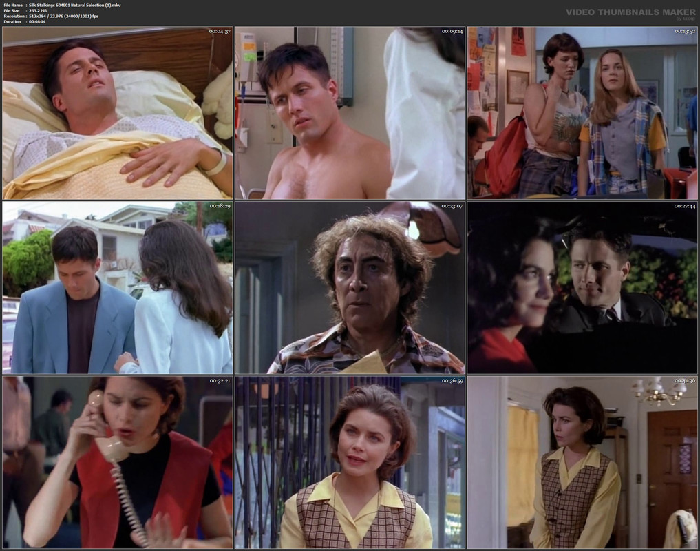 Silk Stalkings S04E01 Natural Selection (1).mkv