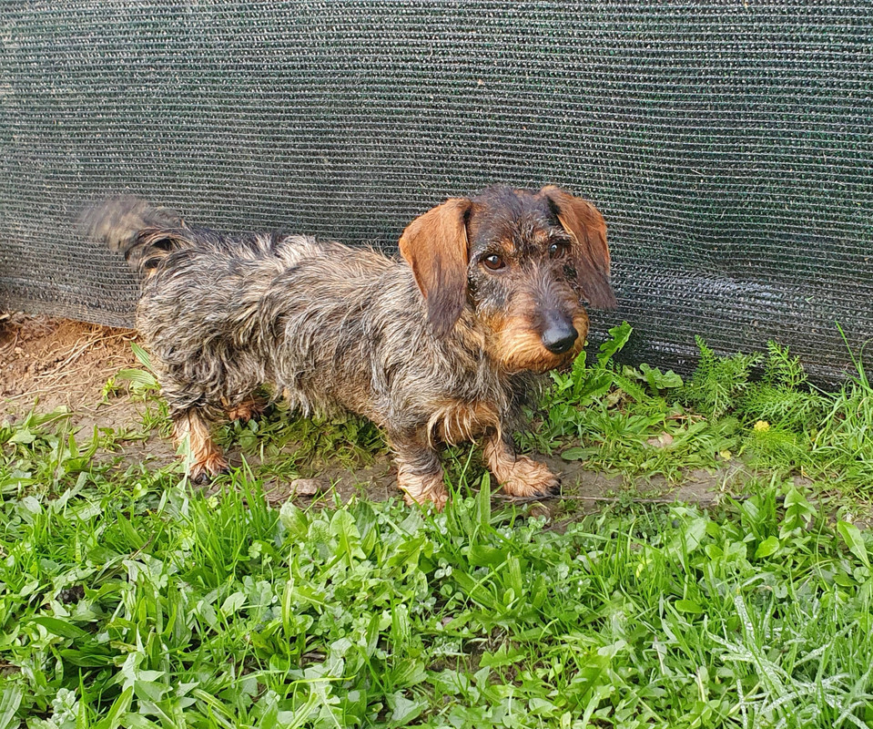 [Image: 20221113-173311.jpg]