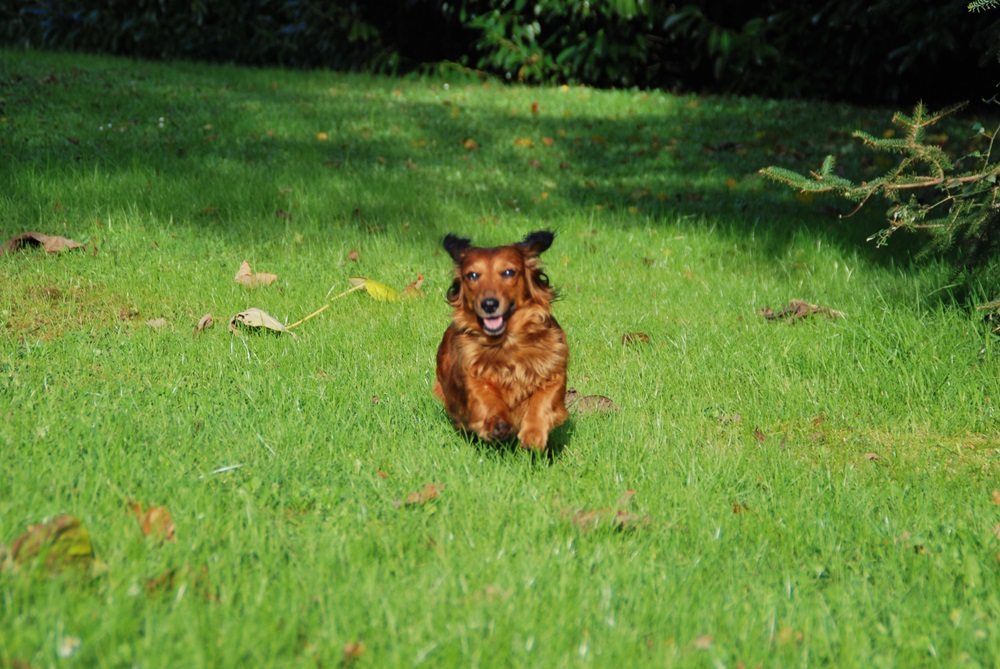 [Image: DSC-1286.jpg]