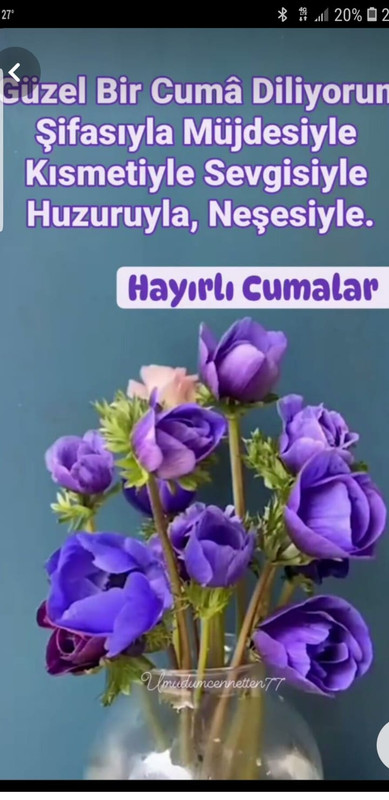 WhatsApp Bild 2025-06-13 um 09.52.20_0e51c03c