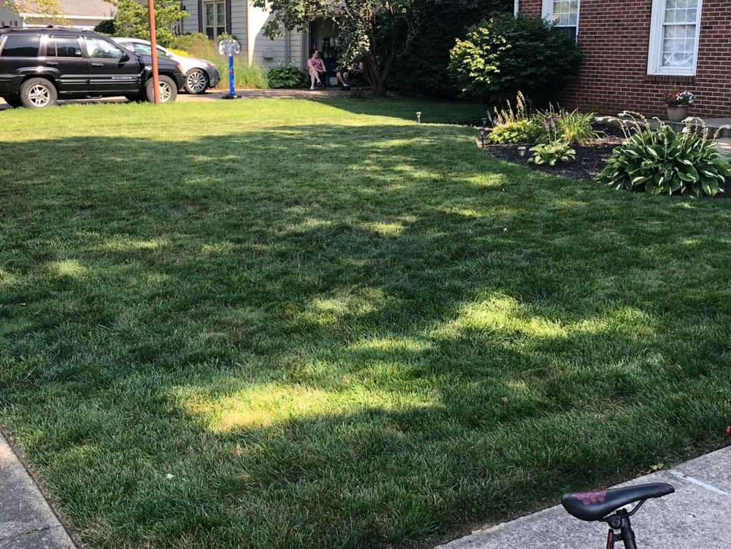 120291732_810009173074905_8859768481325945794_n