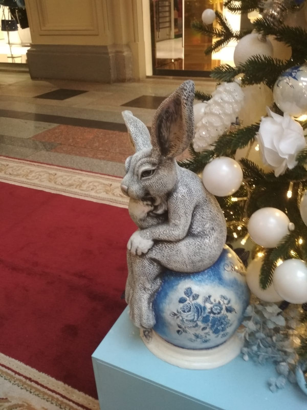 К прогулке 21.12.23 от Ларисы 058