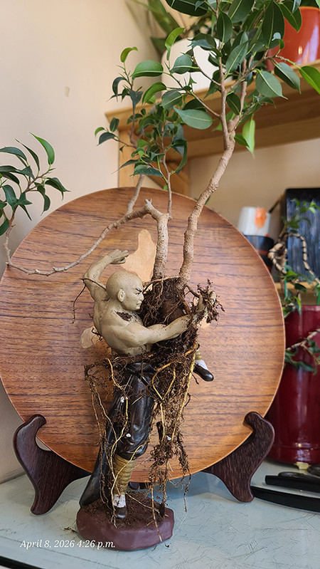 [Image: 20260408-162637.jpg]