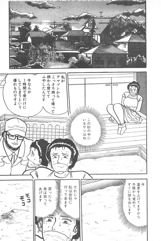 Daidoya TogoVol24-1