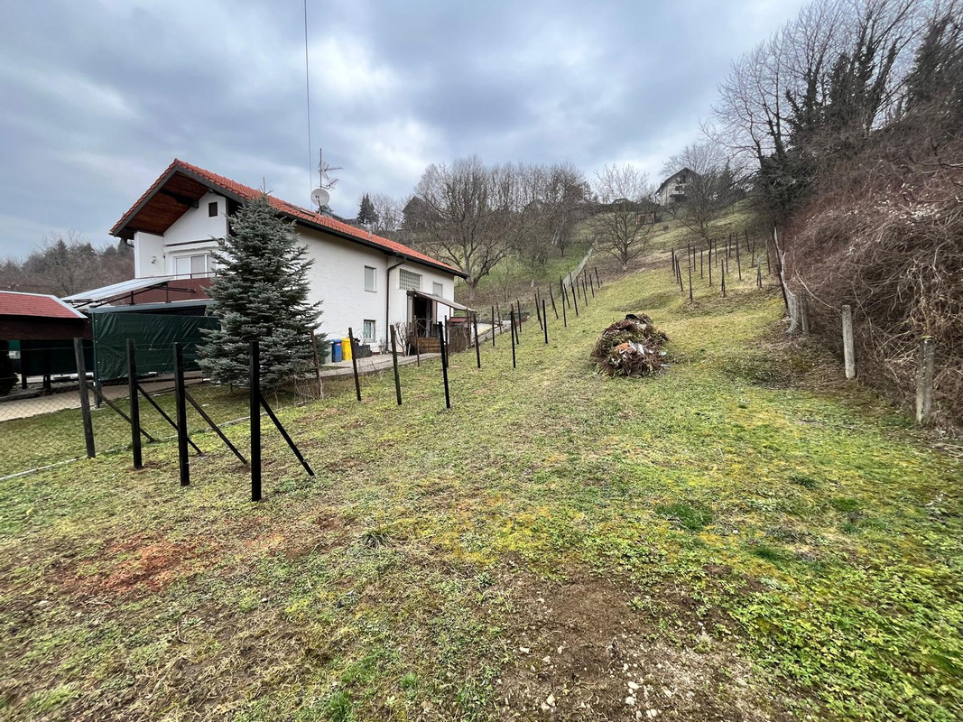 WhatsApp Image 2025-02-24 at 18.16.32 (1)