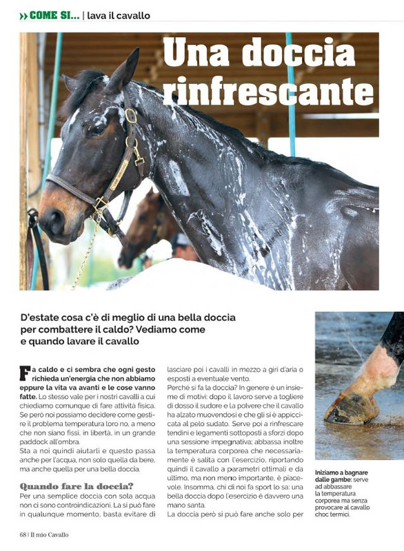 Il Mio Cav (Lug 2022) 11