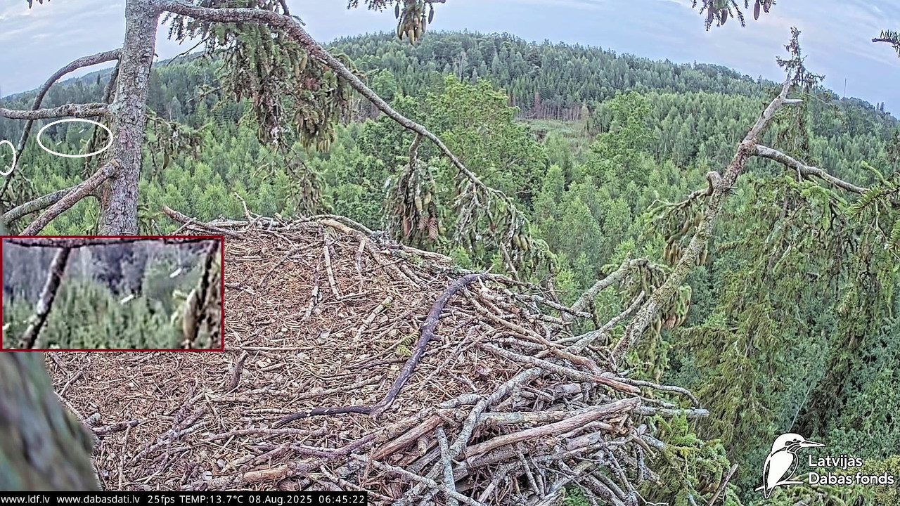 vlcsnap-2025-08-08-05h54m51s327