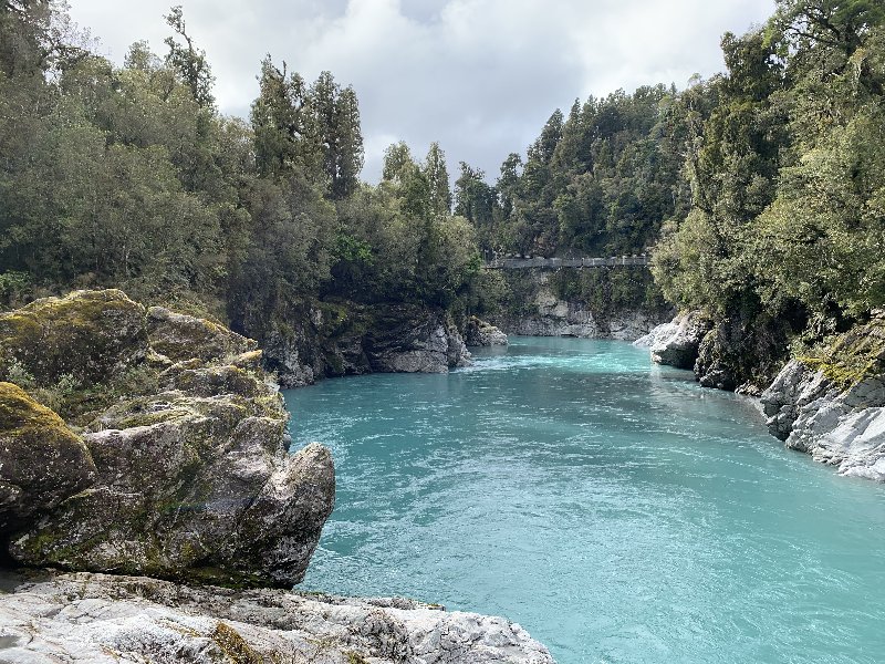 Hokitika-Frank Josef Glacier-Haast - Nueva Zelanda: La primavera Kiwi nos fue marcando la ruta (3)