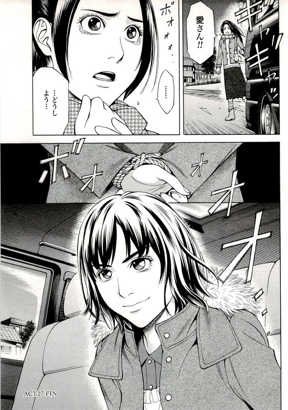Cat's AiVol6-4