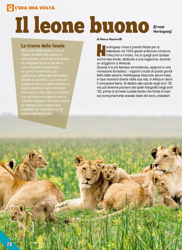 Foc Wil - Dic 2023 (3)