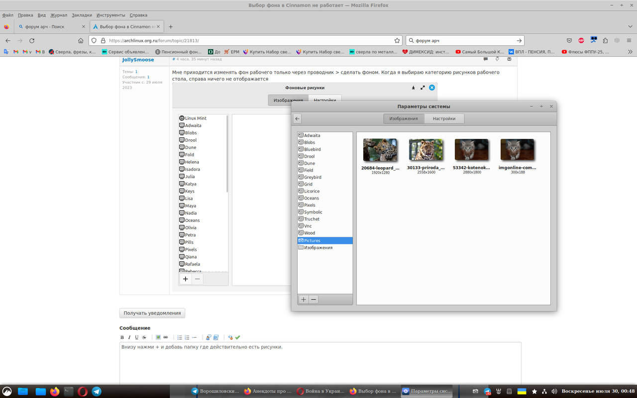 Снимок экрана от 2023-07-30 00-48-07