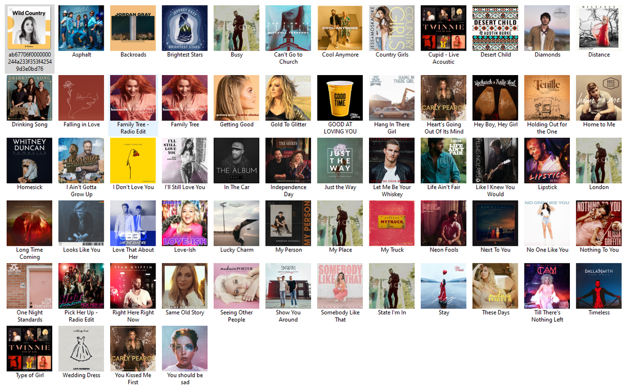 Wild Country 63 Hit's (2020) [320] kbps Beats⭐