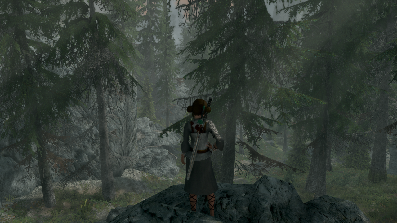 ScreenShot135