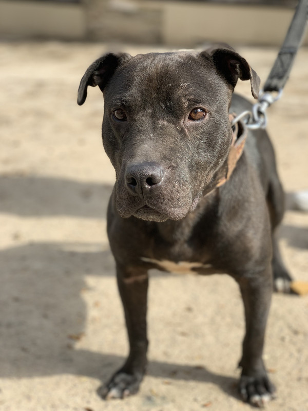 A019F37B-CD1B-458C-82D6-863302DF3EA5