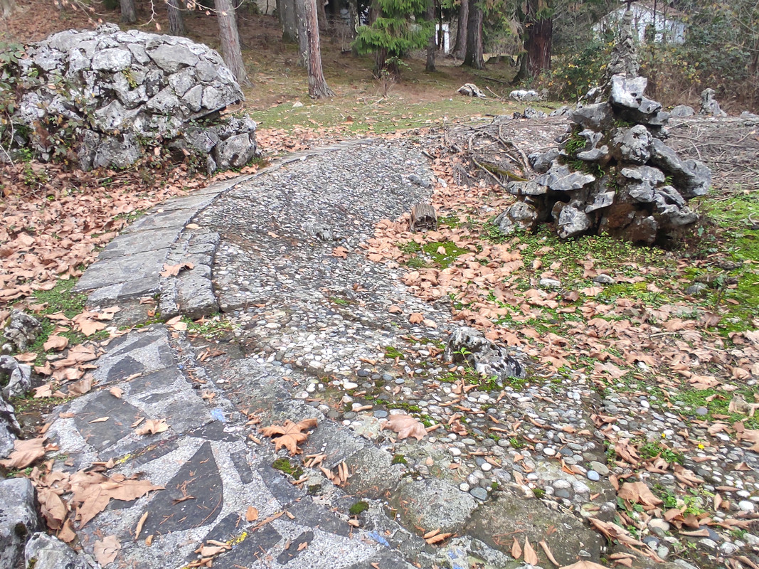 IMG-20211208-140635.jpg