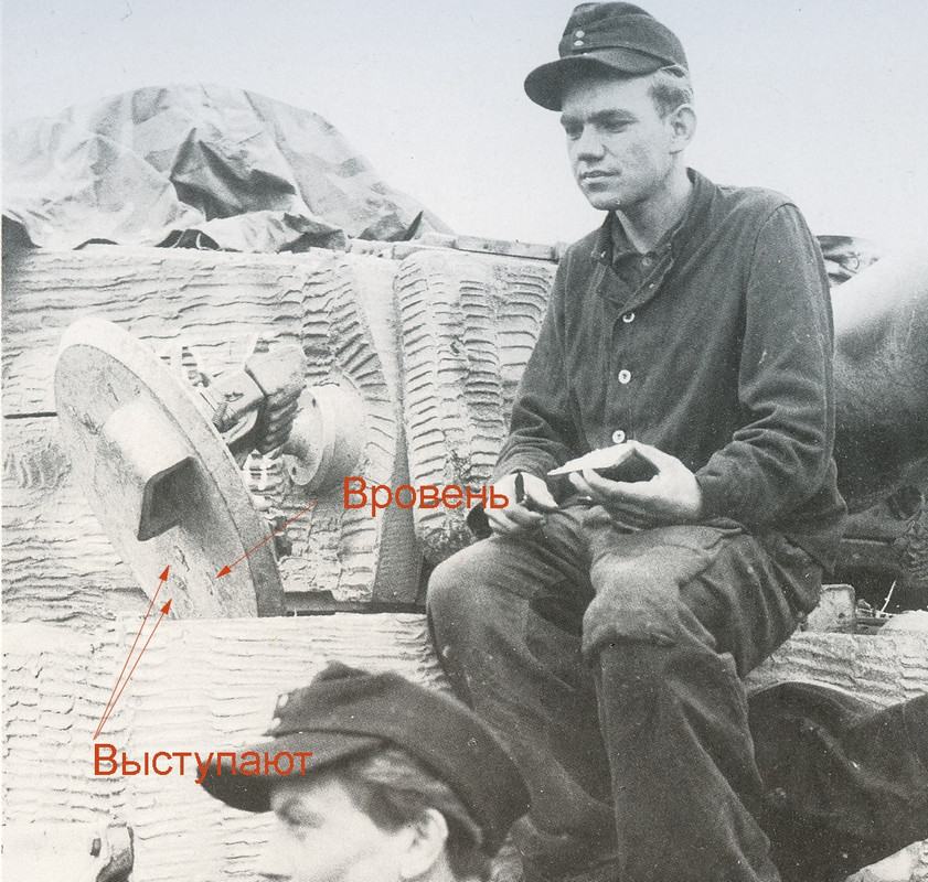 Тамия невс тигры0006