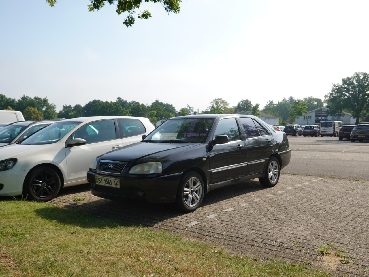 DSC08661.jpg