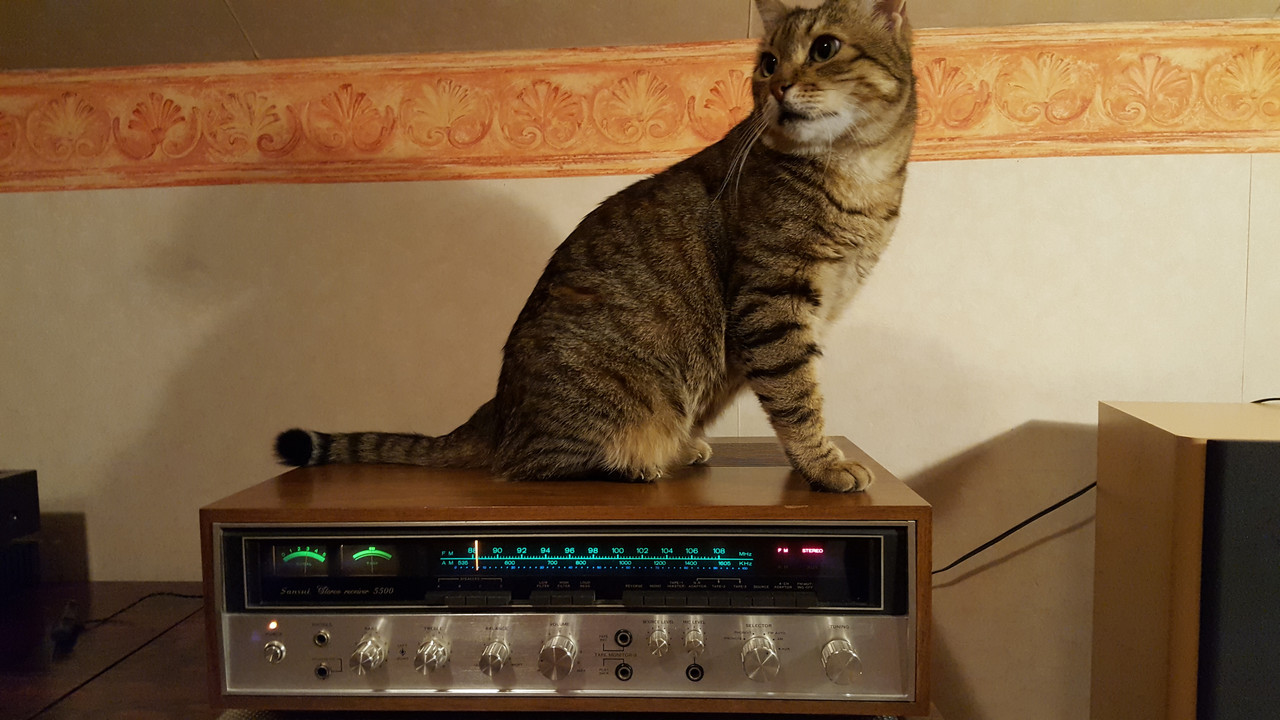 [Bild: 20180919-233243hsel0.jpg]